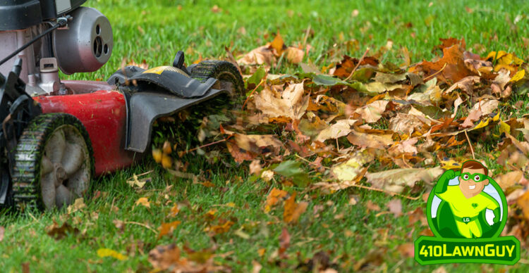 Is it Okay to Mow Leaves Instead of Raking?