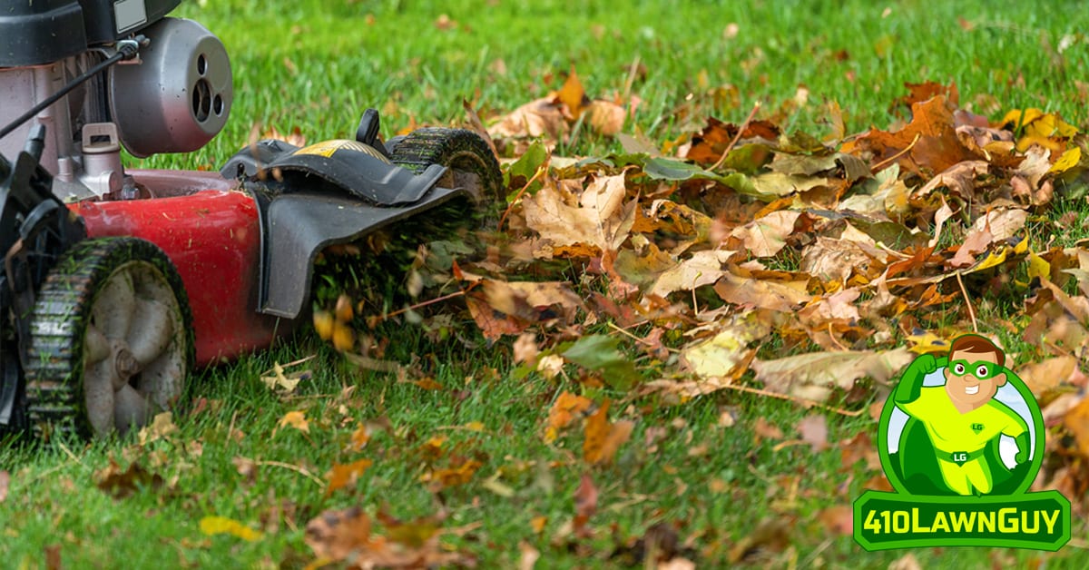 Is it Okay to Mow Leaves Instead of Raking