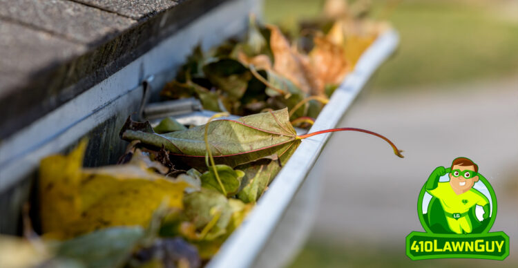 The Fastest Way to Clean Your Gutters