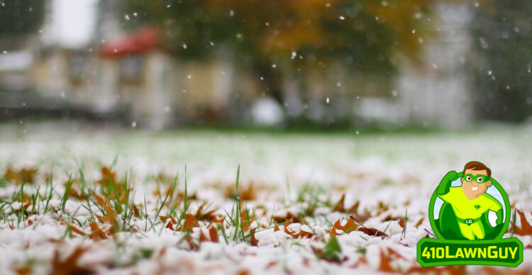 What Do You Put on Your Lawn in the Winter?