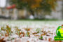 What Do You Put on Your Lawn in the Winter?