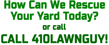 lawnguy side bar call to action 011421