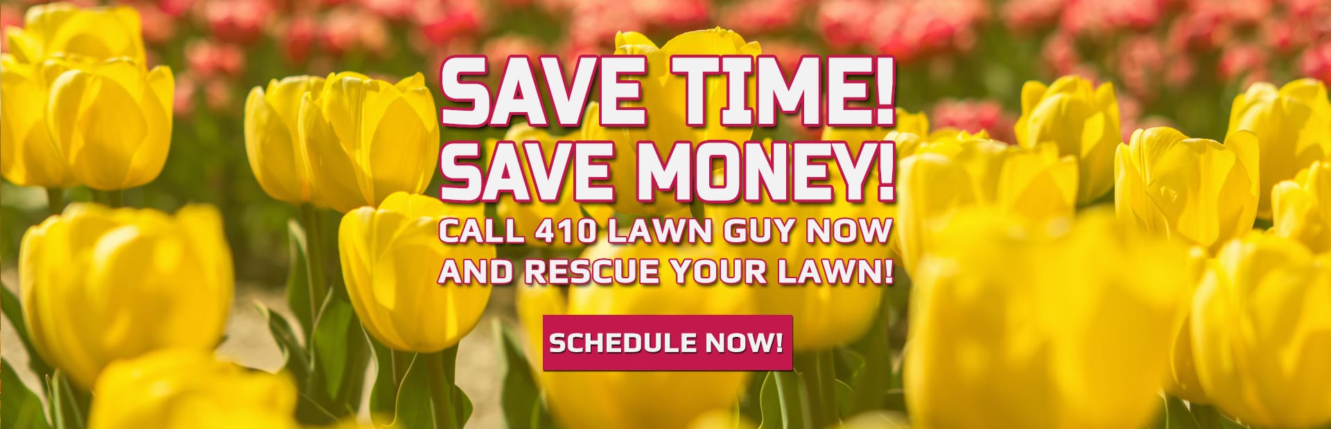 410 lawnguy slider 03182021