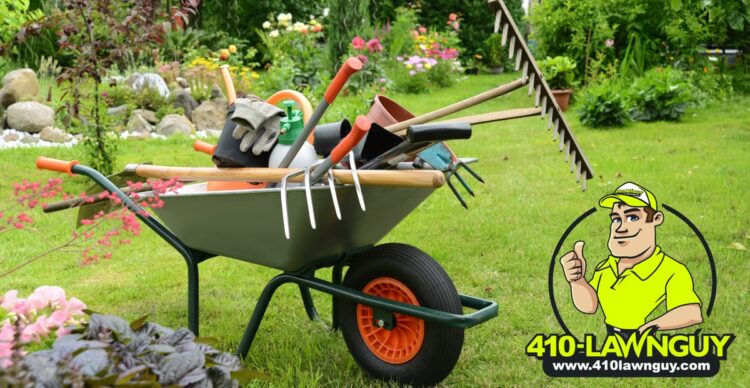 Spring Prepping Your Lawn