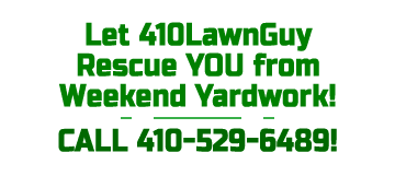 lawnguy call to action 03182021