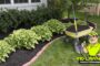 The Case for Mulch