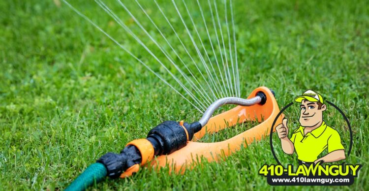 When Should I Water The Lawn?