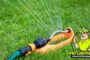 When Should I Water My Lawn