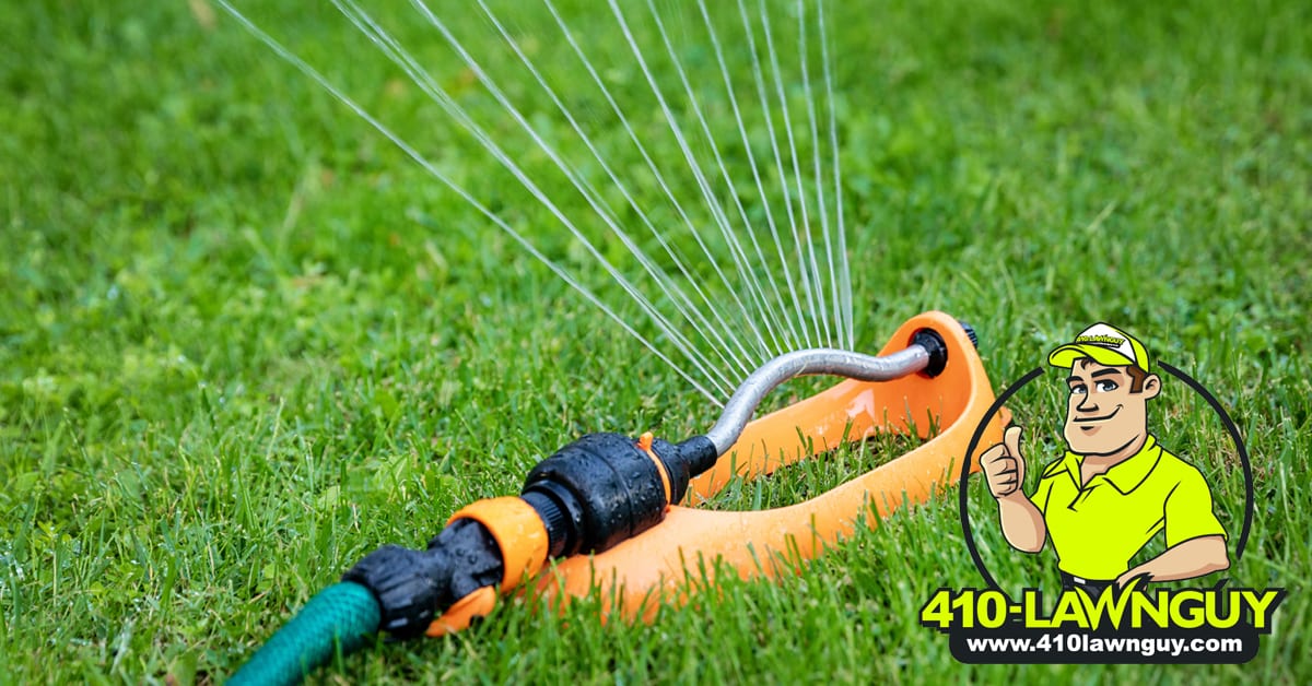 When Should I Water My Lawn