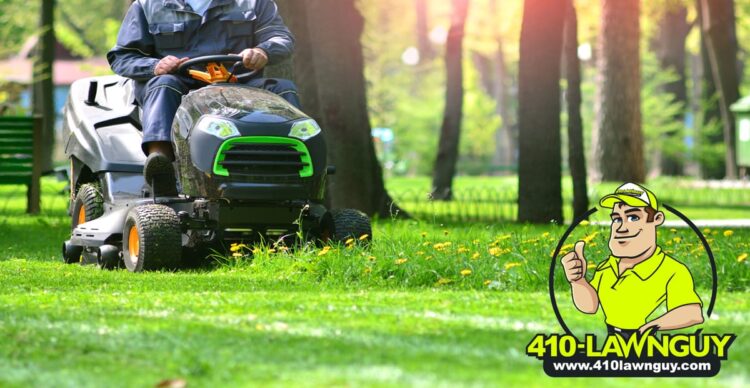 Lawn Mowing - Maintaining the Health of Your Lawn