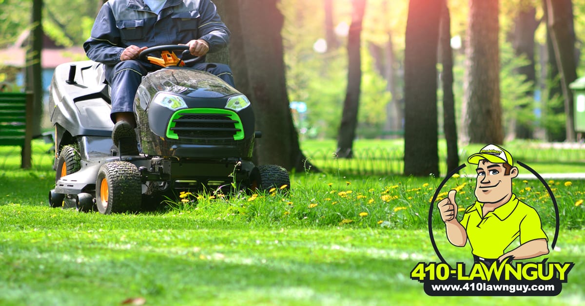 How To Properly Mow Your Lawn to Maintain its Health