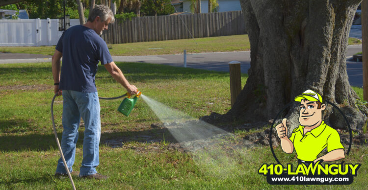 Don’t Let Weeds Take Over Your Lawn