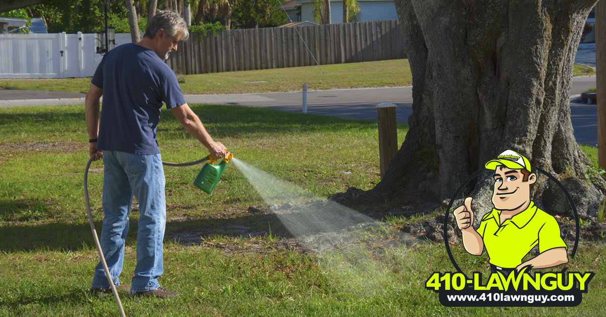 Don’t Let Weeds Take Over Your Lawn_