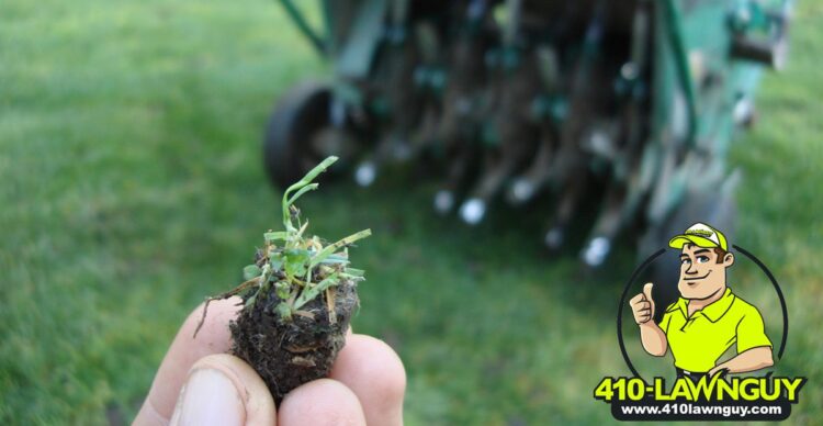 Aerating and Overseeding