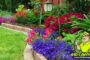 Best Landscaping Ideas for 2022