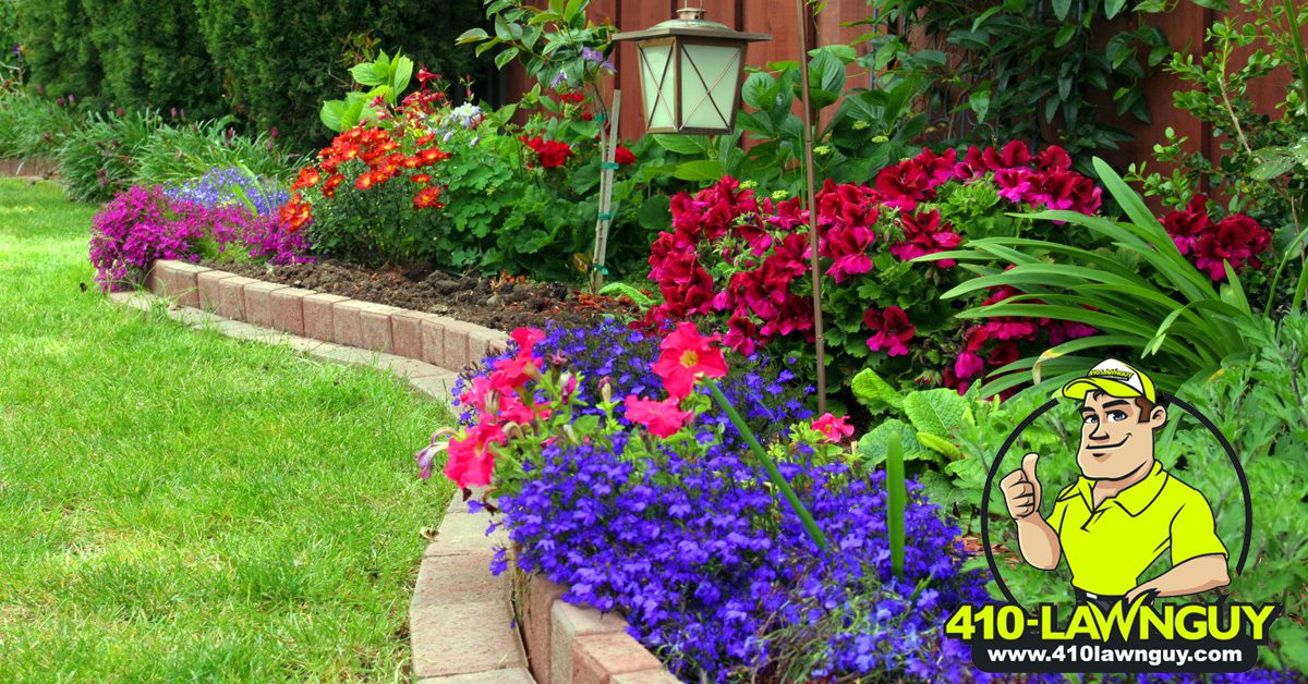 Best Landscaping Ideas for 2022