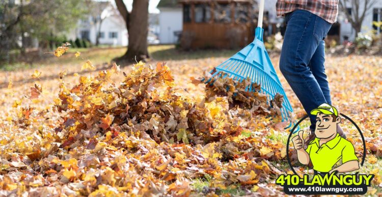 Should You Rake or Mulch Leaves?