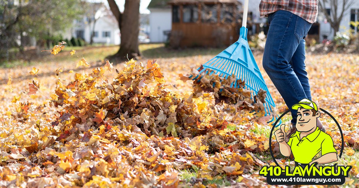 Should You Rake or Mulch Leaves