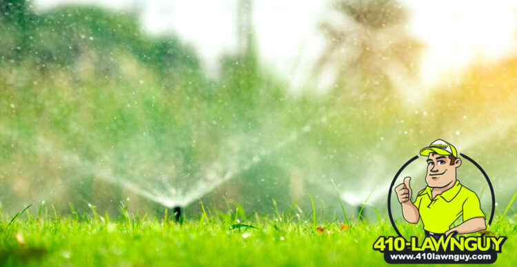 How Much Should You Be Watering Your Lawn