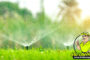 How Much Should You Water Your Lawn